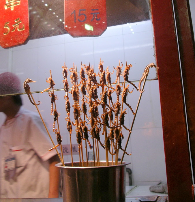 Sea Horse and Scorpion