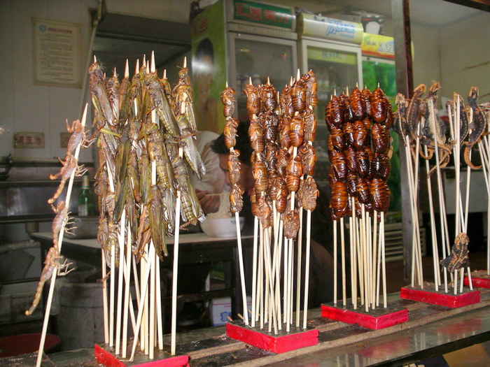 Scorpians, Crickets, Silk worms, Lizards