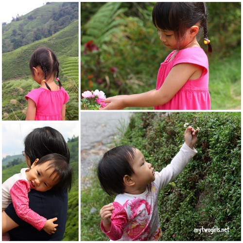Zaria having a good time at Boh Plantation - Ringlet