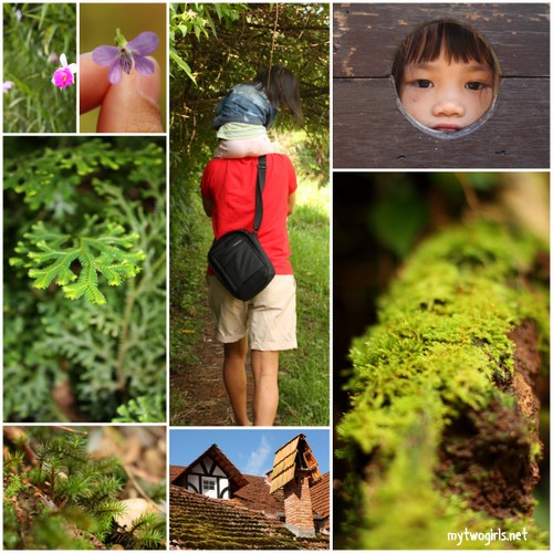 Around Century Pine Resort and Bala Holiday Chalet