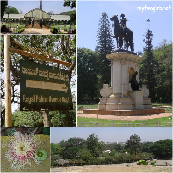 Around Lalbagh Garden