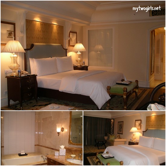 My room in Leela Palace