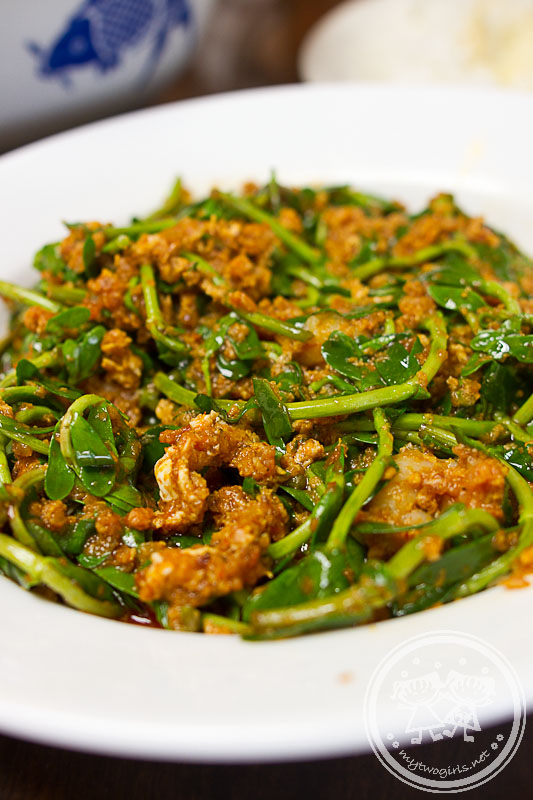 Kuaci Cai