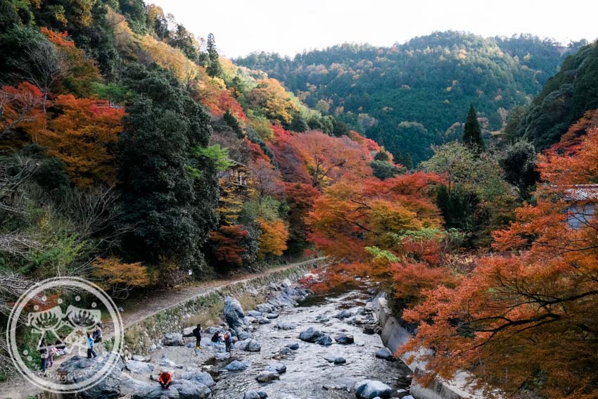 Kiyotaki Tokai Nature Trail