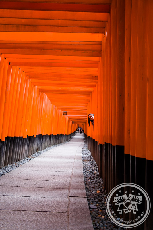 Torii gates at Fushimi Inari